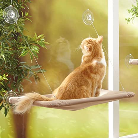 Katteseng med sugekopper for vindu - Bra Deals